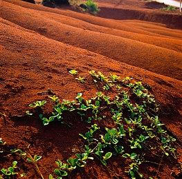 平台动作游戏《袋鼠闯天关》万圣节DLC宣传片